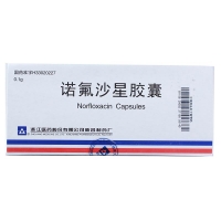 新昌  诺氟沙星胶囊   0.1*12粒